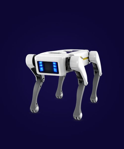 Helix Smart Walker